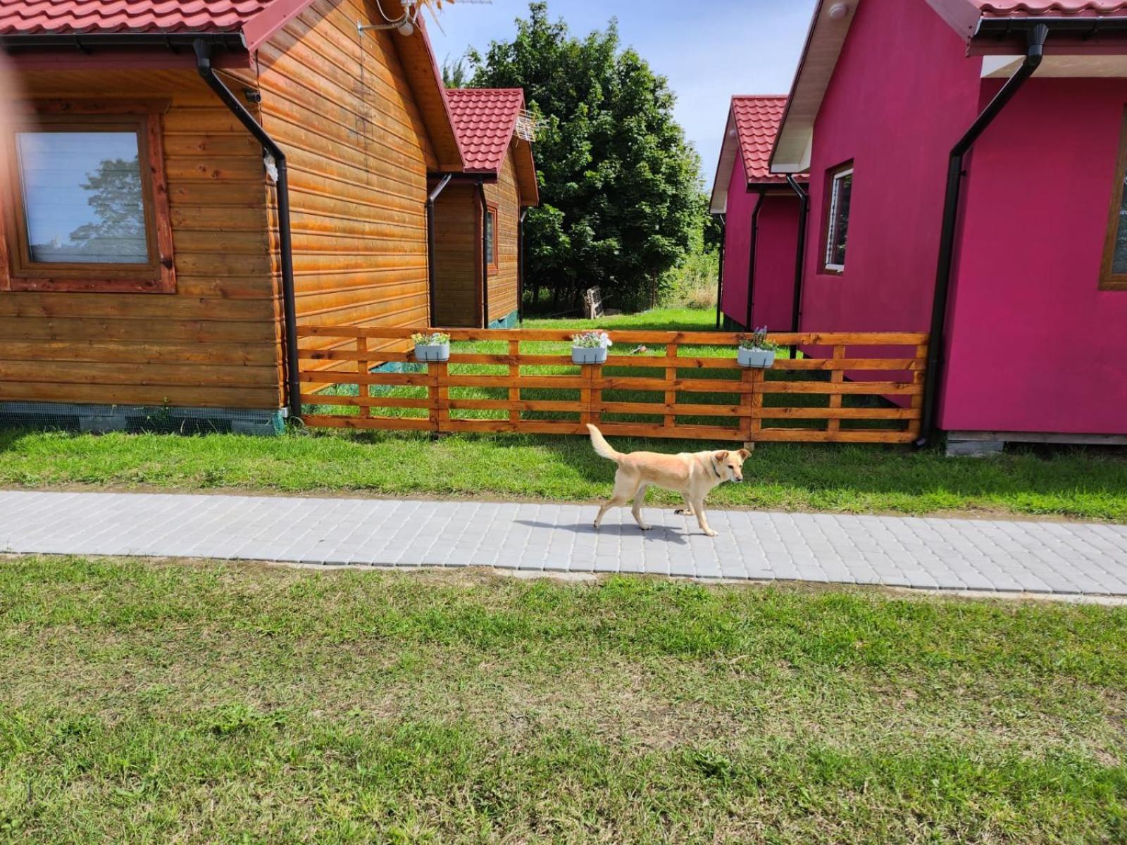 Domki Letniskowe U Zuni Хлопы Экстерьер фото